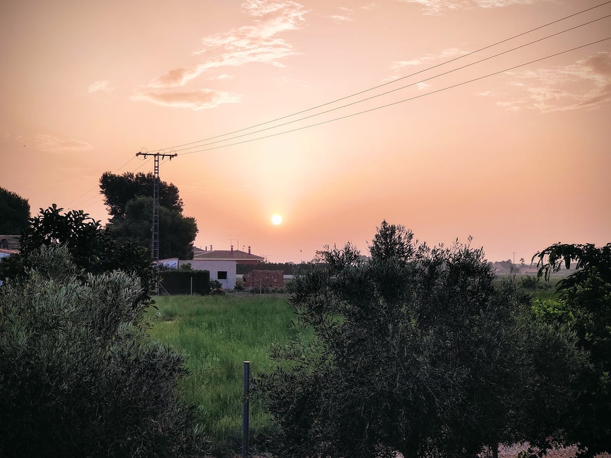 Atardecer sobre un paisaje rural con olivos