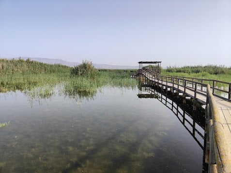 Pasarela de madera que atraviesa una laguna