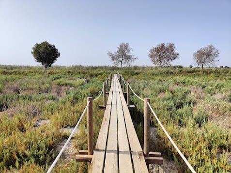 Pasarela de madera que atraviesa una laguna