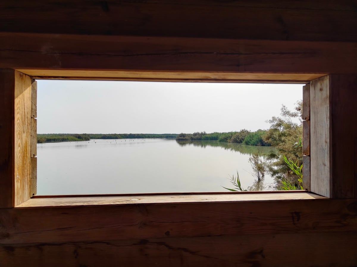 Ventana de madera con vistas a una laguna