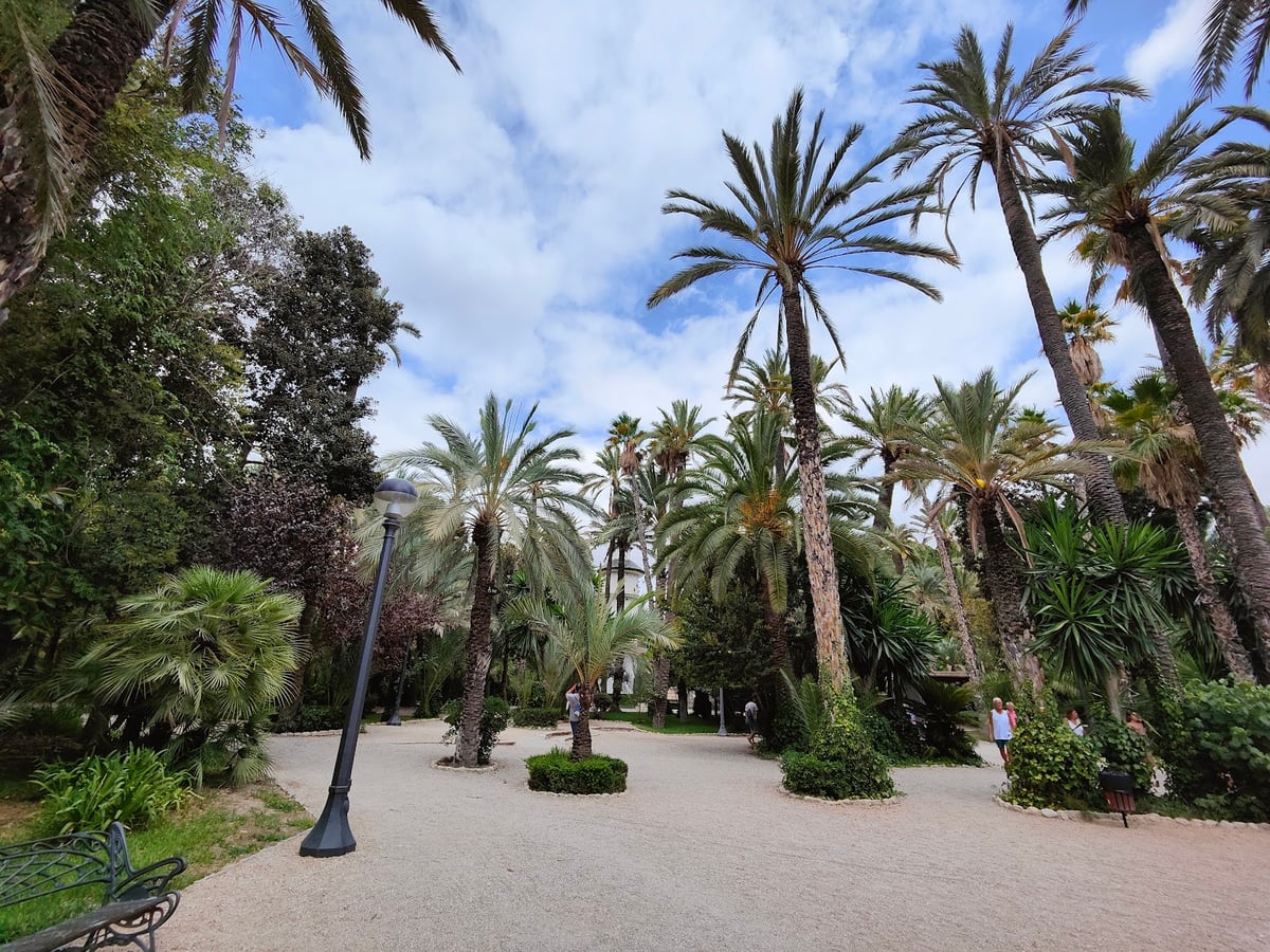 Jardín con palmeras y caminos