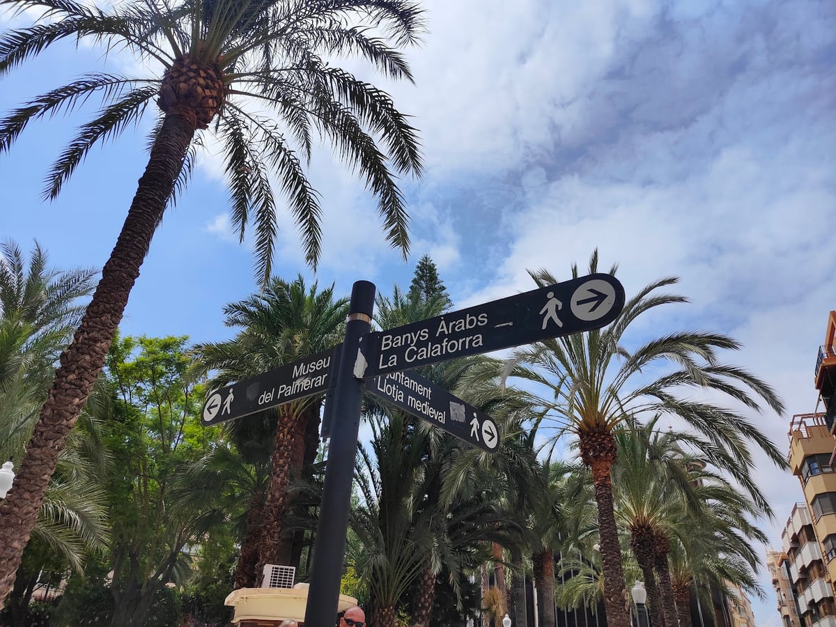 Señalización turística entre palmeras