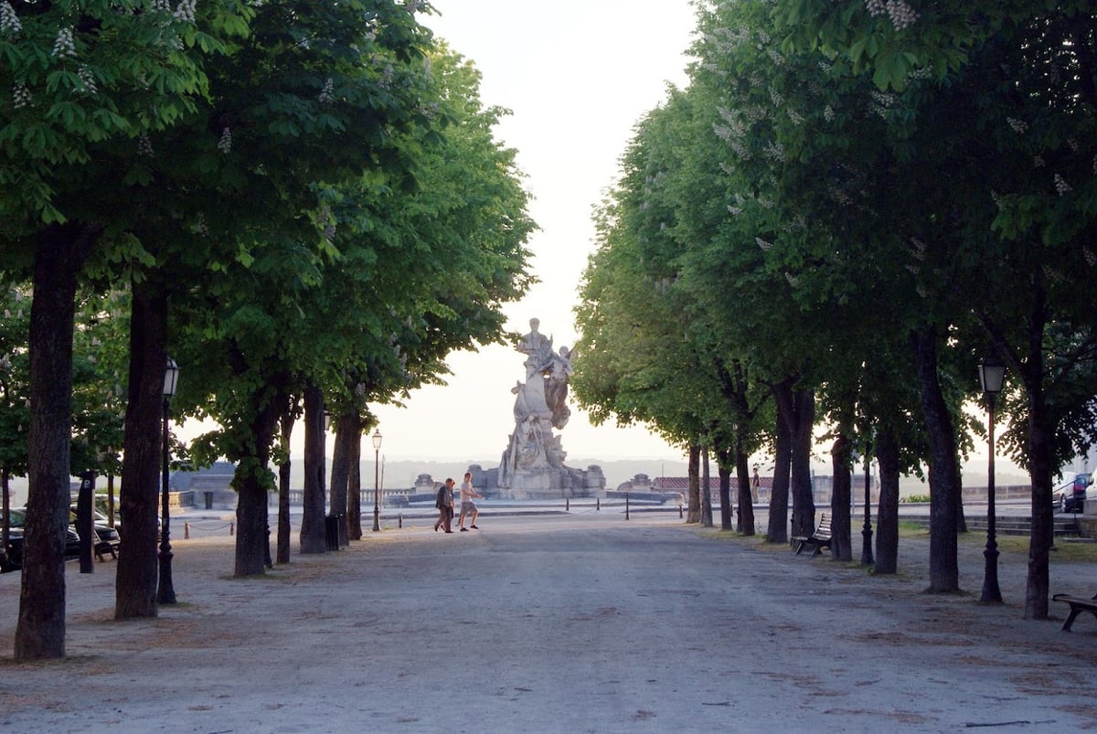 Paseo arbolado hacia un monumento