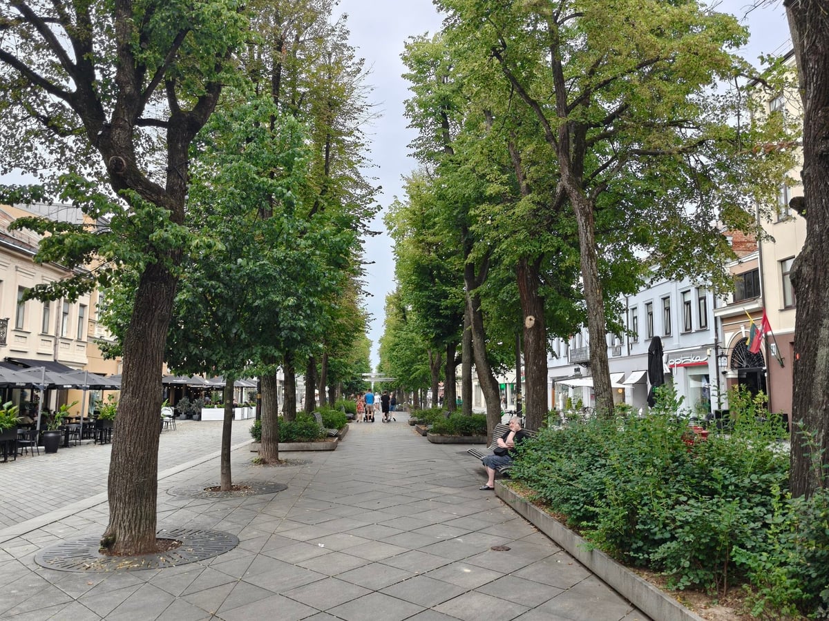 Laisvės alėja, la avenida de la Libertad, en Kaunas