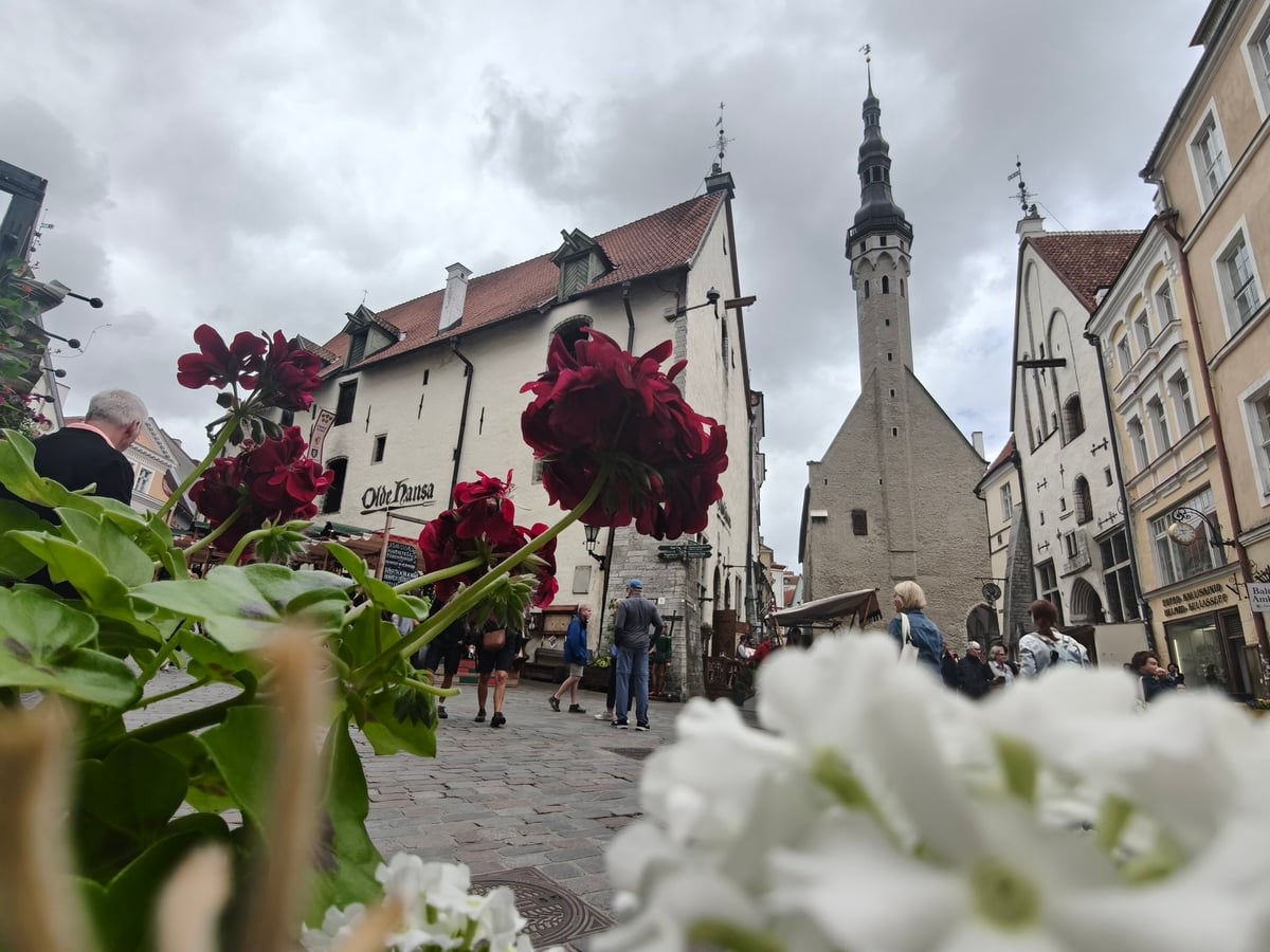 Calle Vene, en el casco antiguo de Tallin
