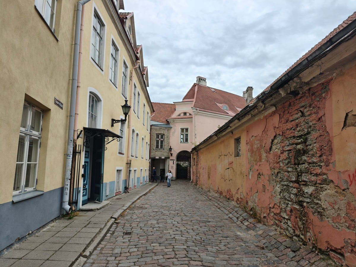 Vistas de Tallin desde el mirador de Kohtuotsa