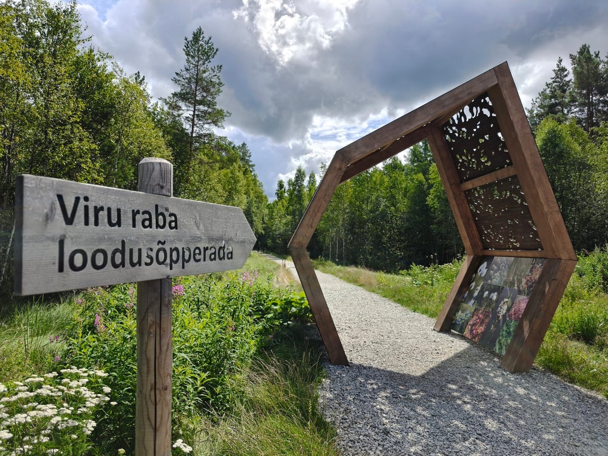 La pasarela de madera de Viru raba