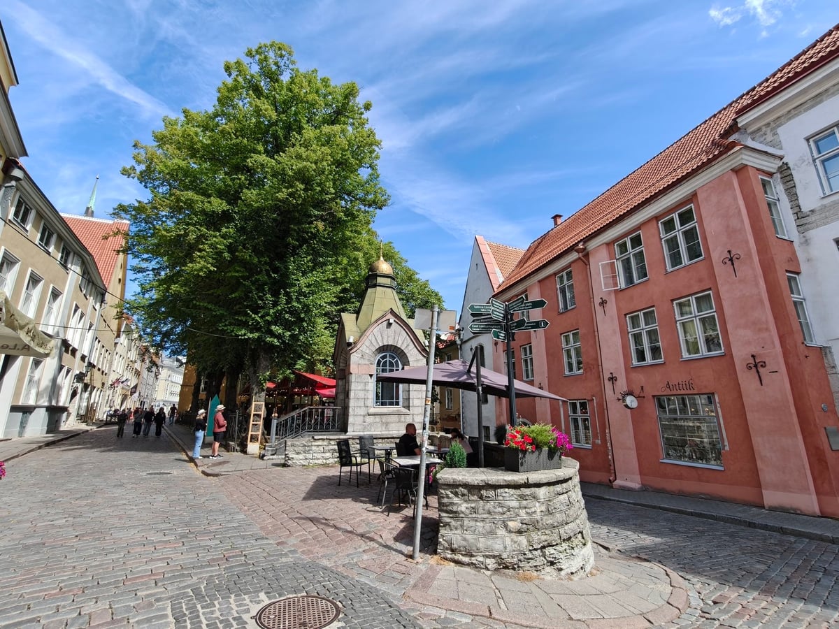 La zona de Vene y Pikk, en Tallin