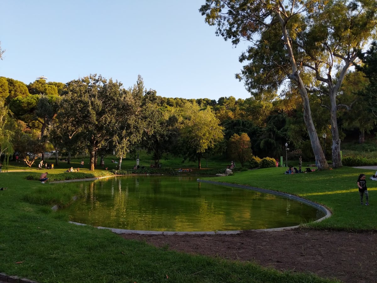 Estanque rodeado de césped y árboles en un parque