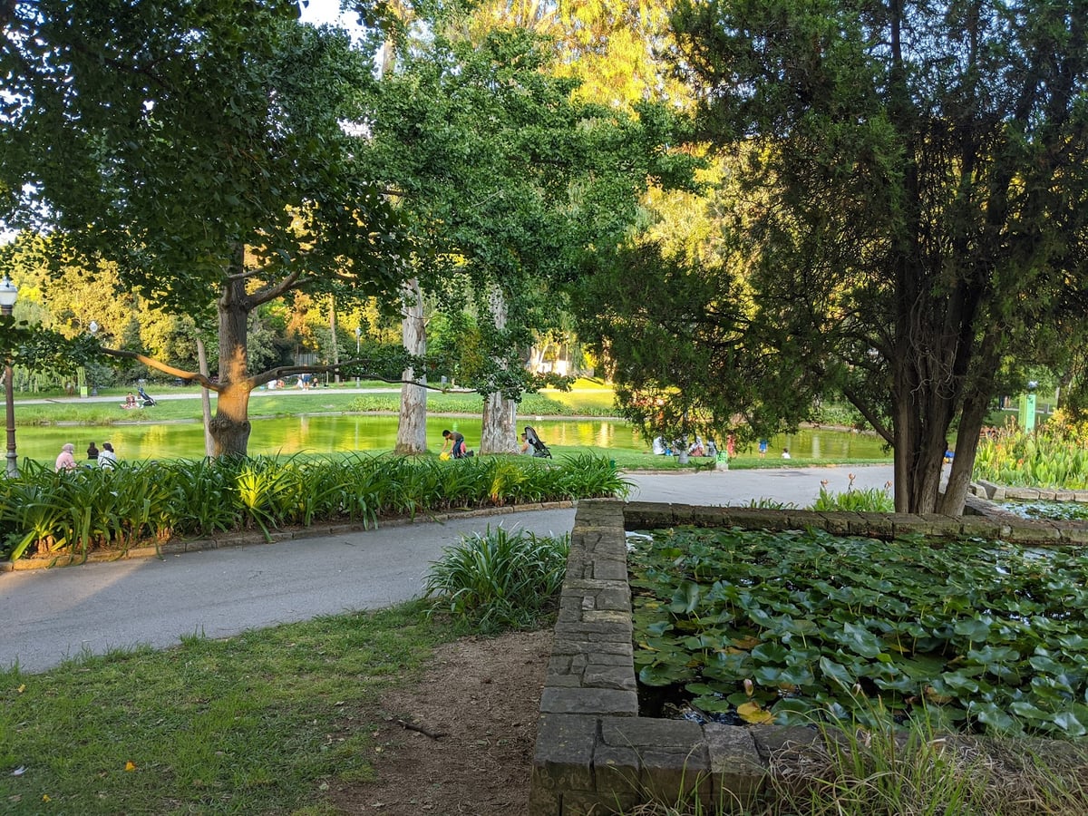 Camino de un parque junto a un estanque