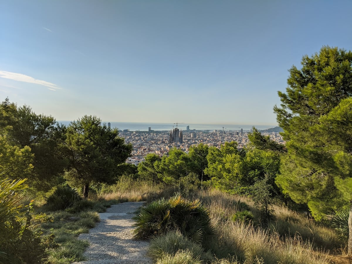 Sendero entre pinos con vistas a Barcelona