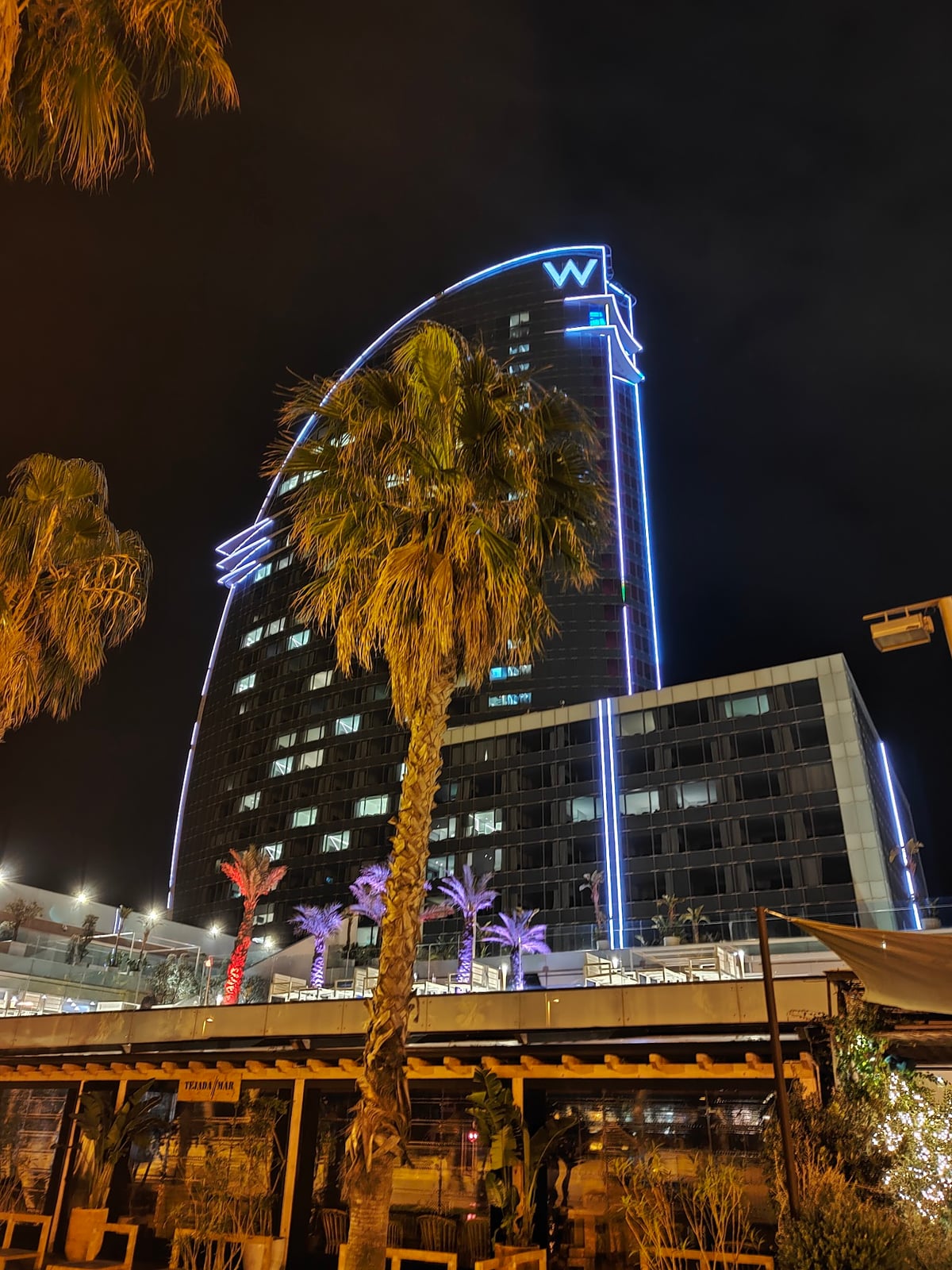 El hotel W de Barcelona iluminado de noche junto a la playa de la Barceloneta, con palmeras en primer término
