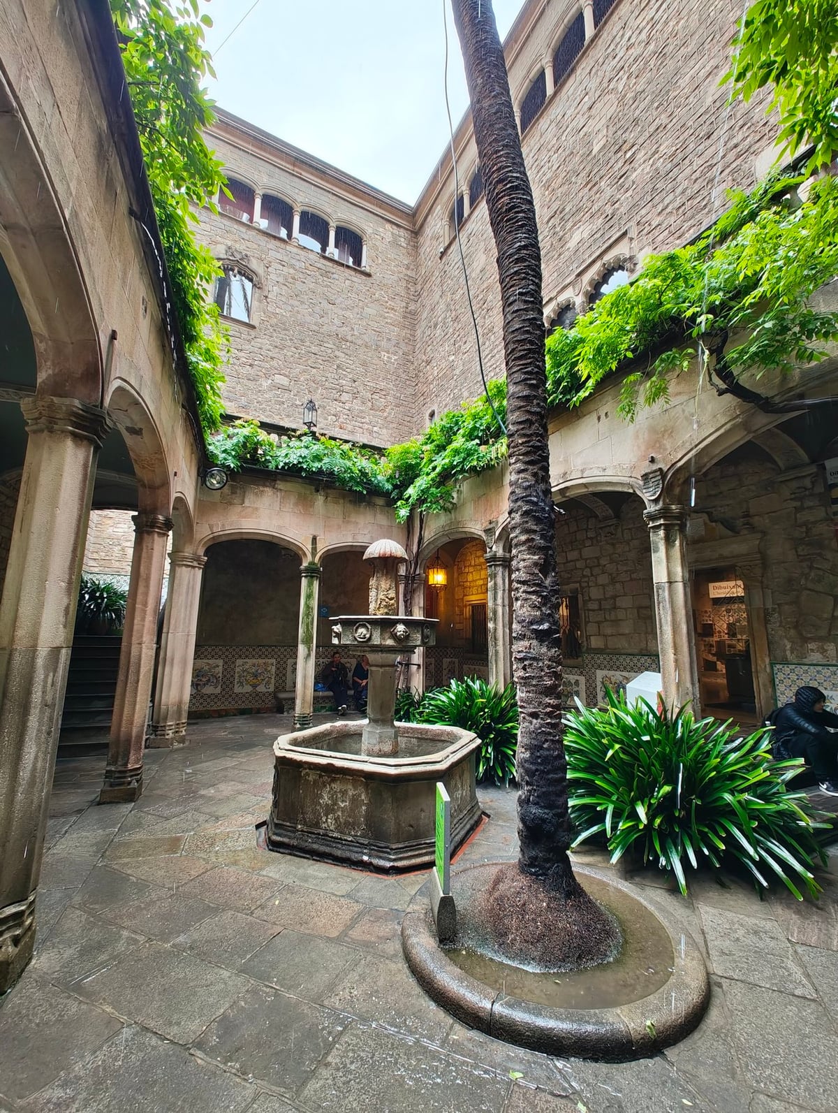 Patio interior con fuente y vegetación en el Barrio Gótico