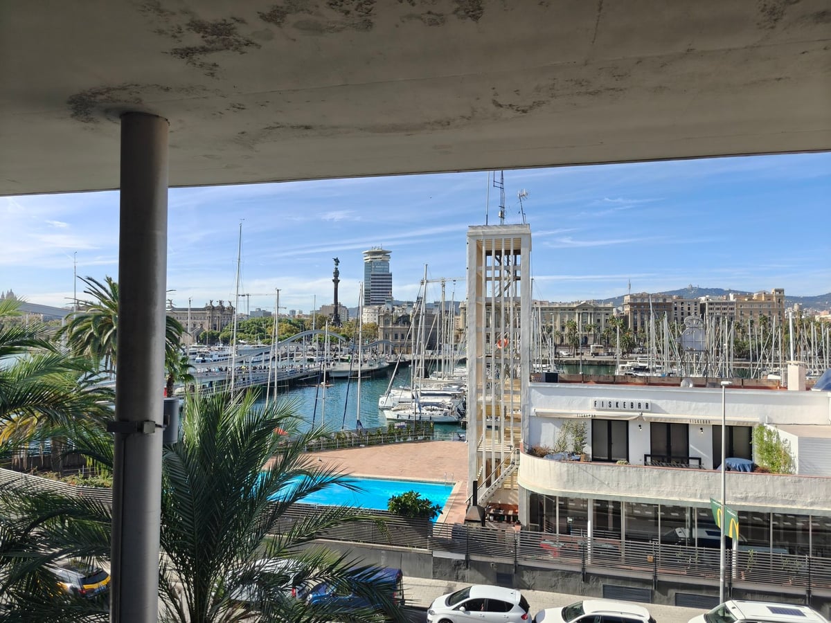 Vista de una piscina desde una terraza con palmeras
