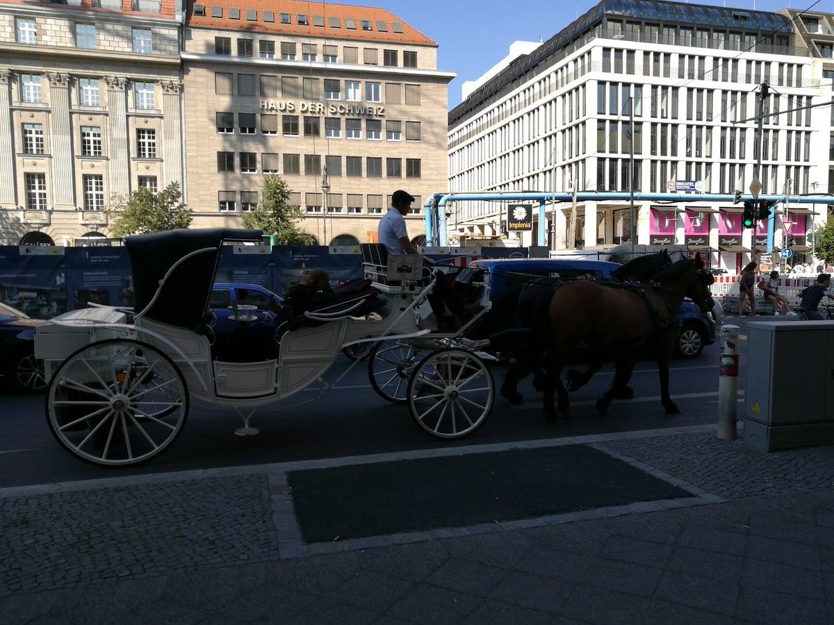 Carruaje tirado por caballos en una plaza de Berlín
