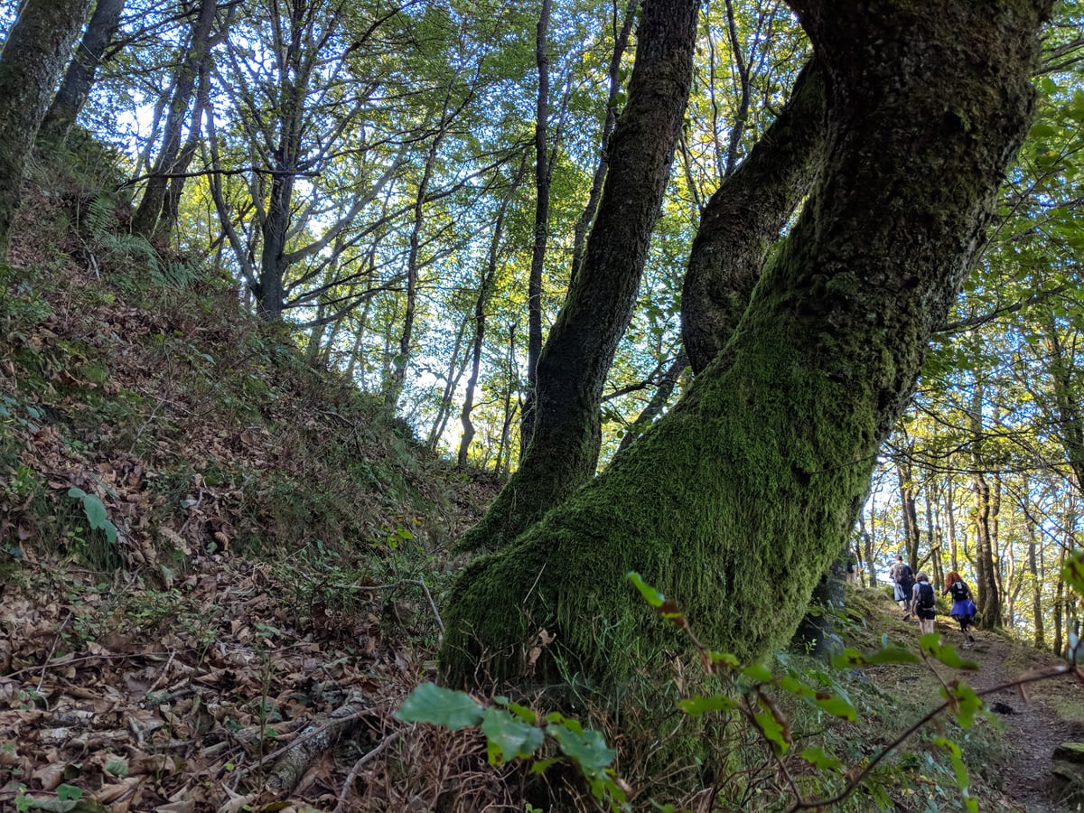 Fotografía durante el evento de Instameet Balmaseda 2018, al que tuve la oportunidad de asistir.