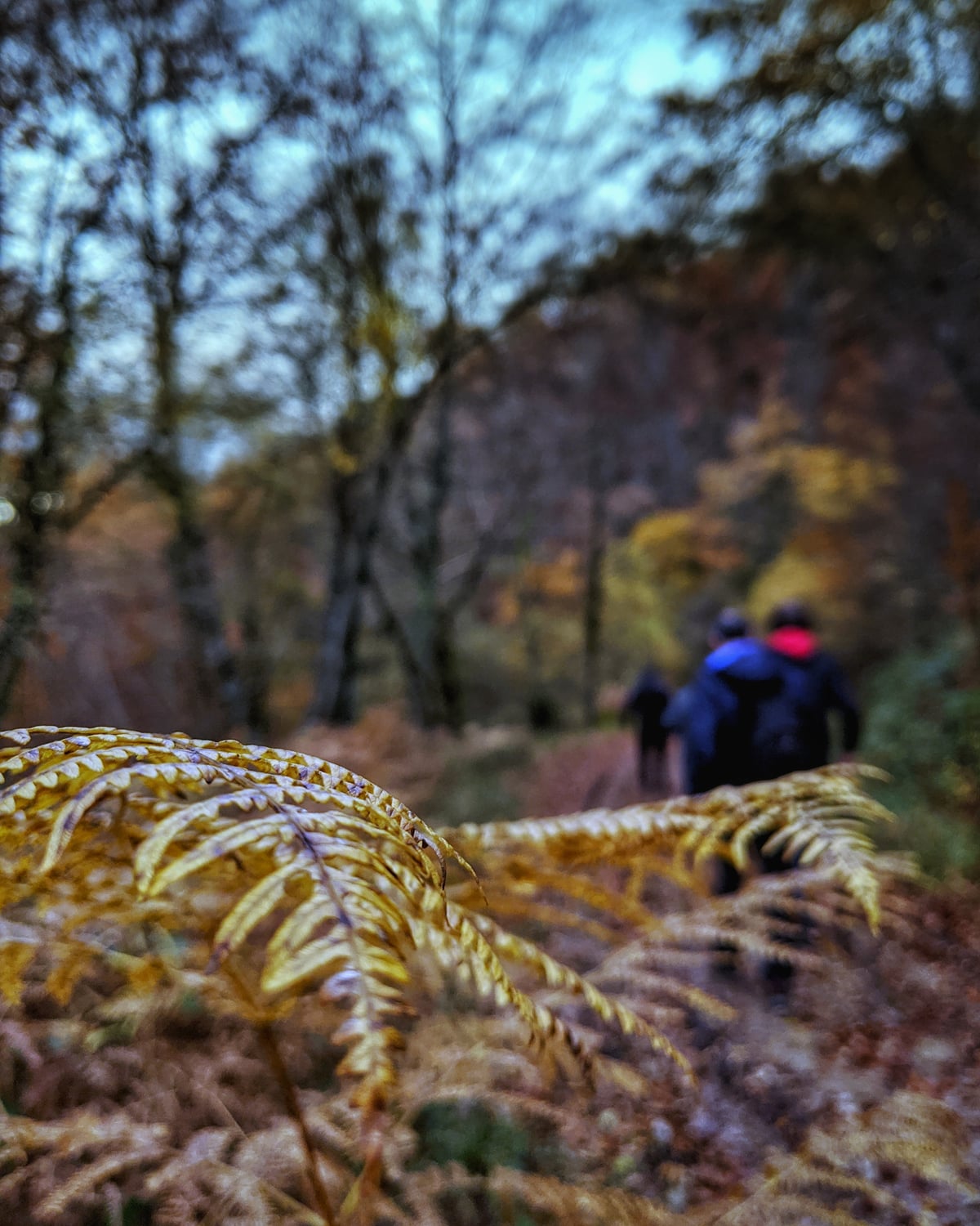 Fotografía durante el evento de Gorbeia Instameet #BiziGorbeia 2019, al que tuve la oportunidad de asistir.