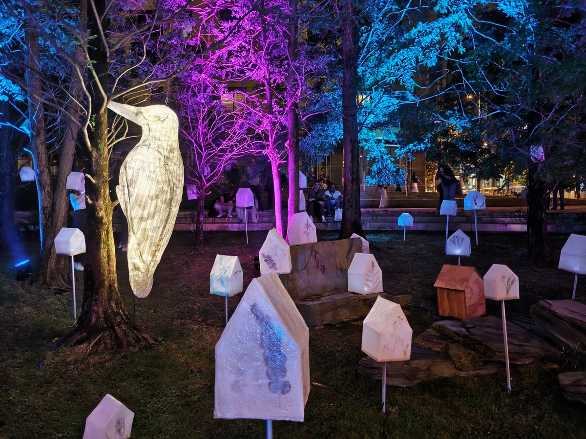 Txoritokia, pájaros de luz en la trasera del edificio CRAI
