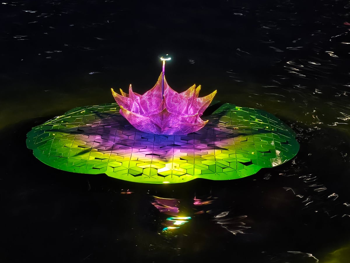 Ur-loreak, flores de agua iluminadas en el estanque del Euskalduna