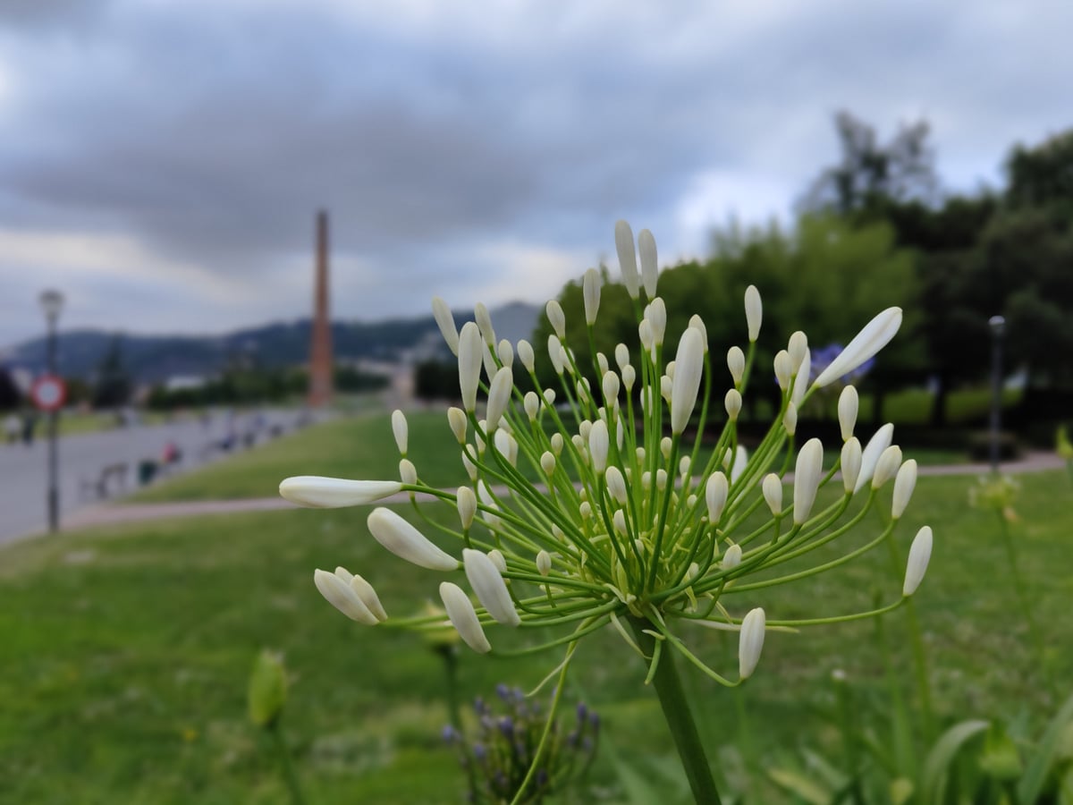 Fotografía de Parque de Etxebarria en un día soleado en Bilbao.