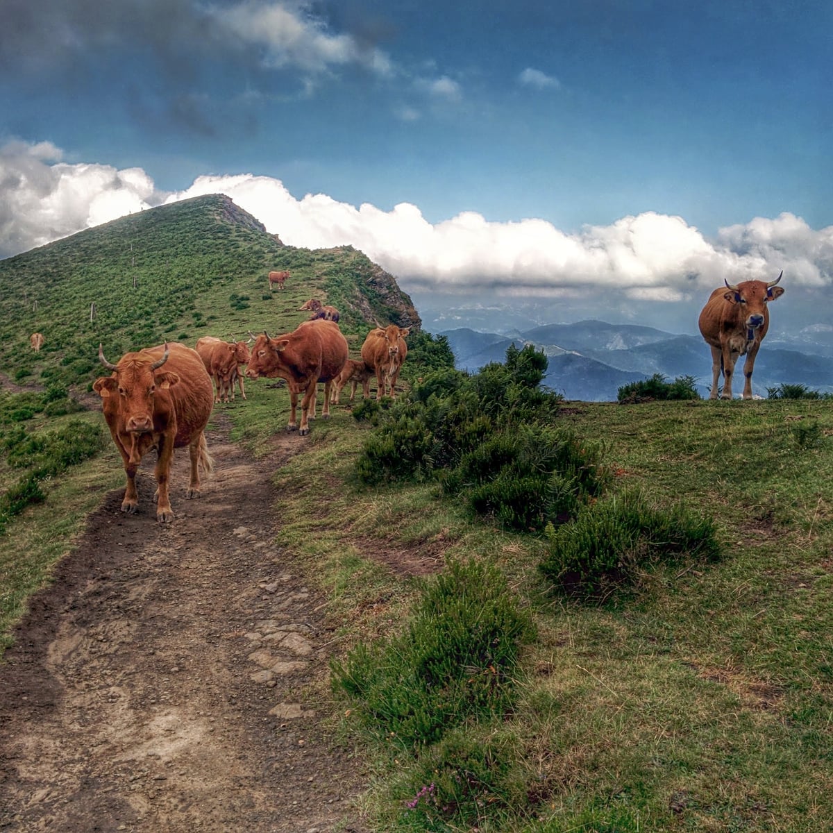 Fotografía panorámica de Monte Ganekogorta, muy cerca de Bilbao.