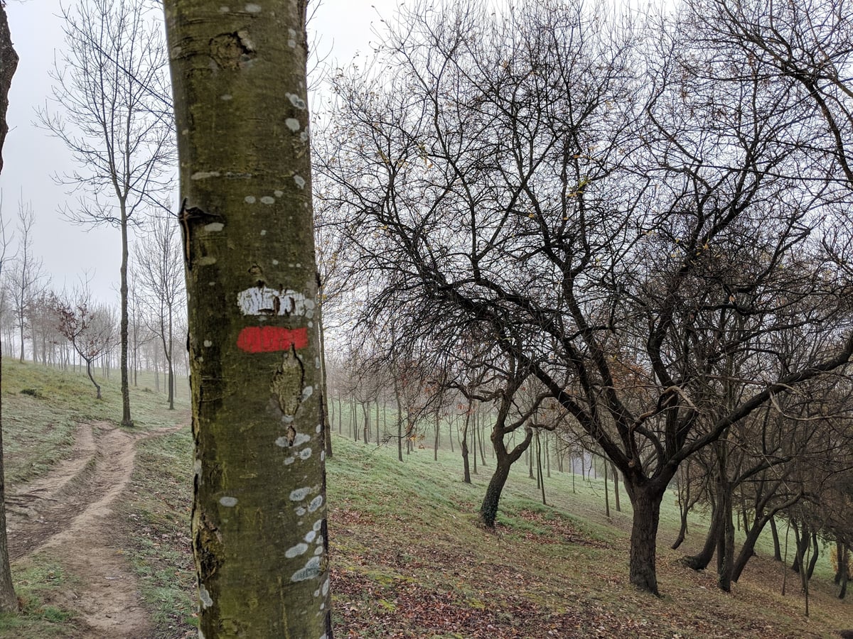 Fotografía panorámica de El Anillo Verde de Bilbao, muy cerca de Bilbao.