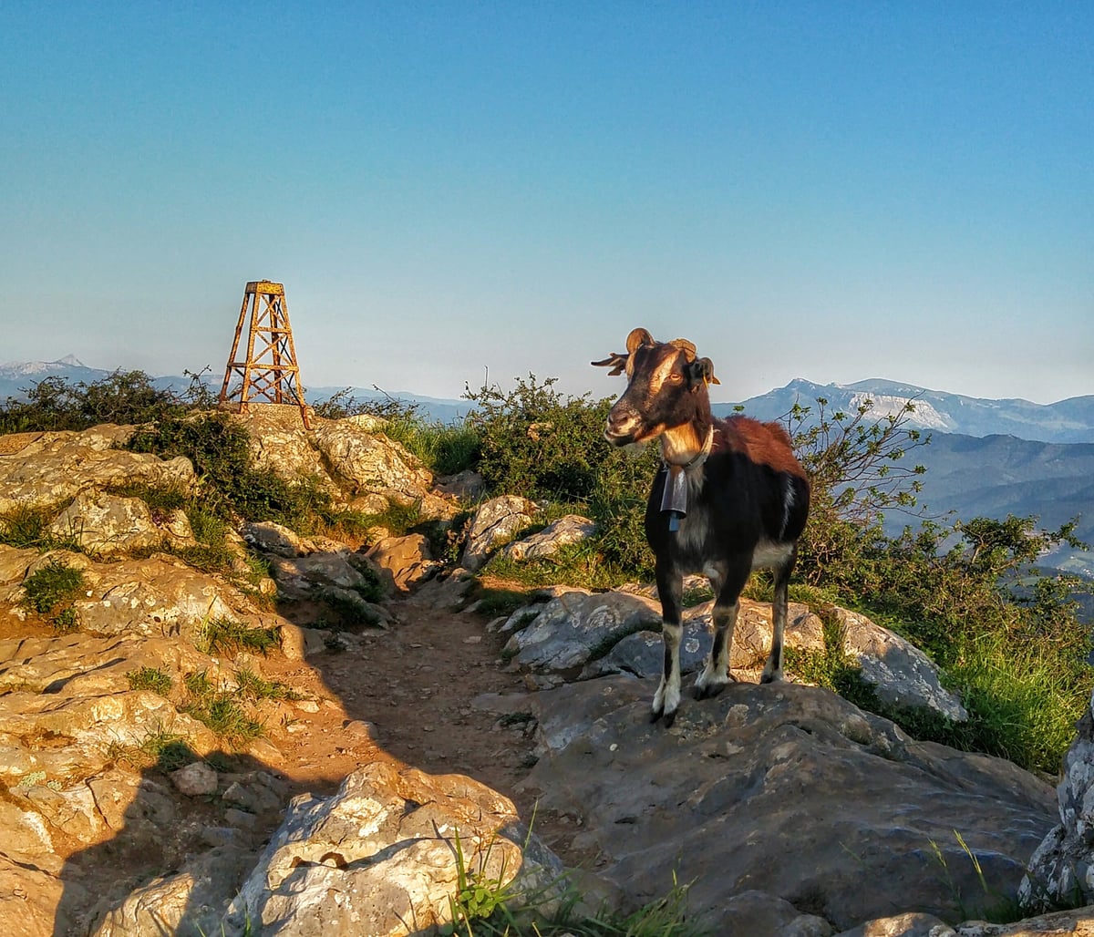 Fotografía panorámica de Monte Pagasarri, muy cerca de Bilbao.