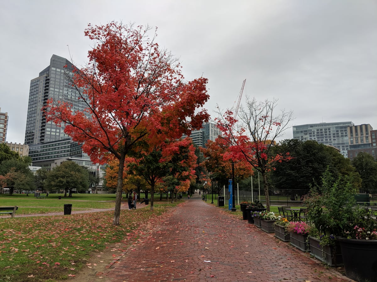 Calle, edificio, monumento o paisaje urbano de Boston