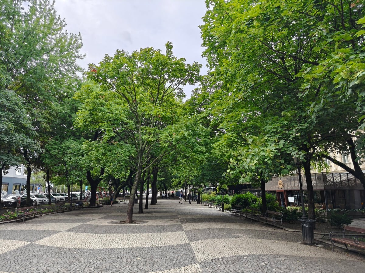 Calle, edificio, monumento o paisaje urbano de Bratislava