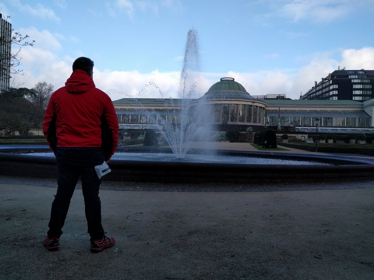 Paseo del Jardín Botánico de Bruselas con árboles desnudos