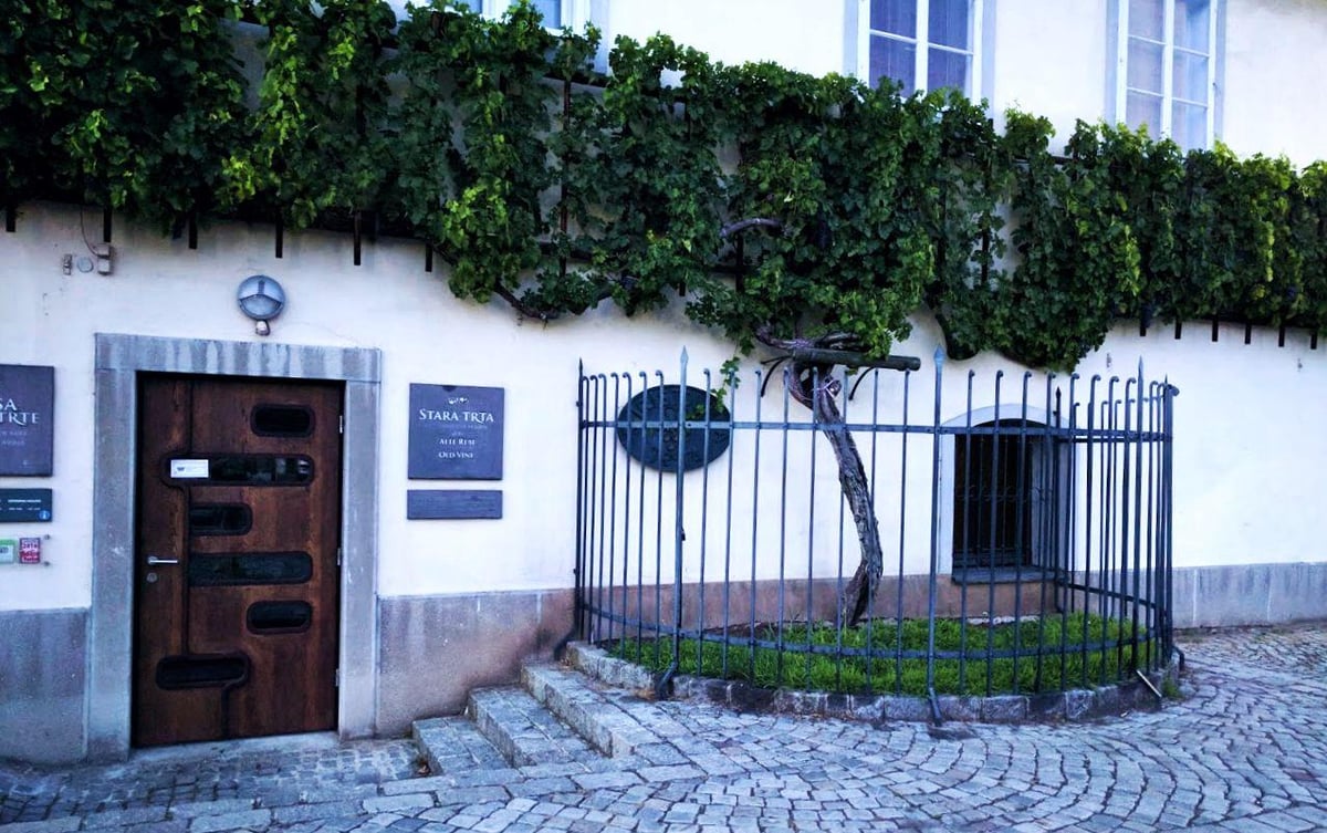 Paisaje, localidad, monumento o escena urbana de Eslovenia