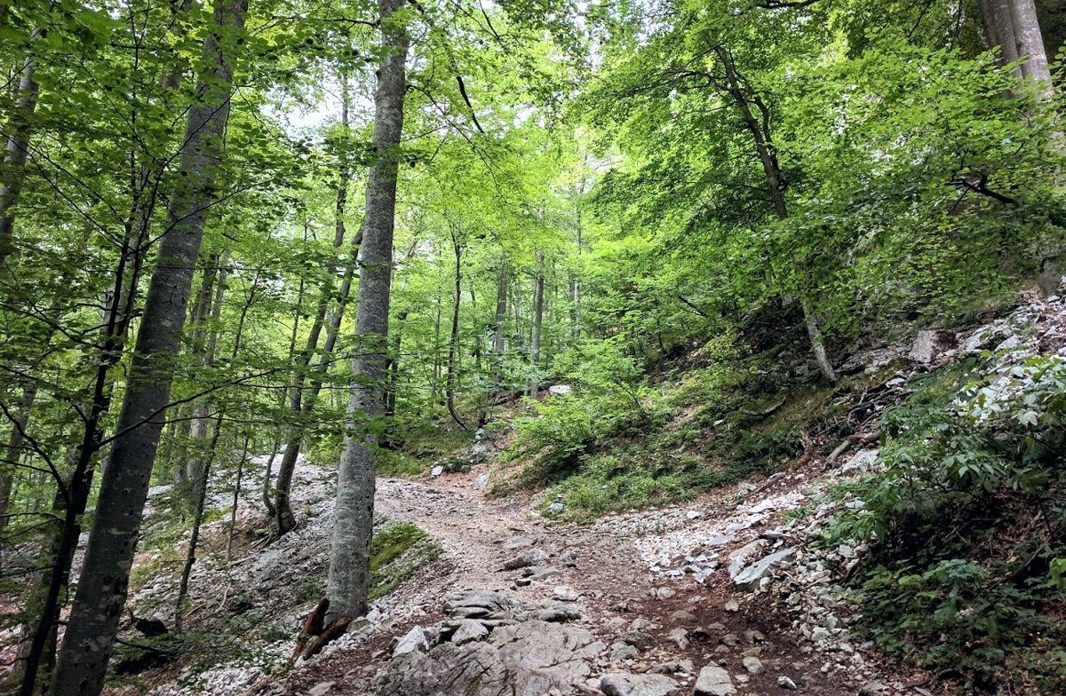 Paisaje, localidad, monumento o escena urbana de Eslovenia