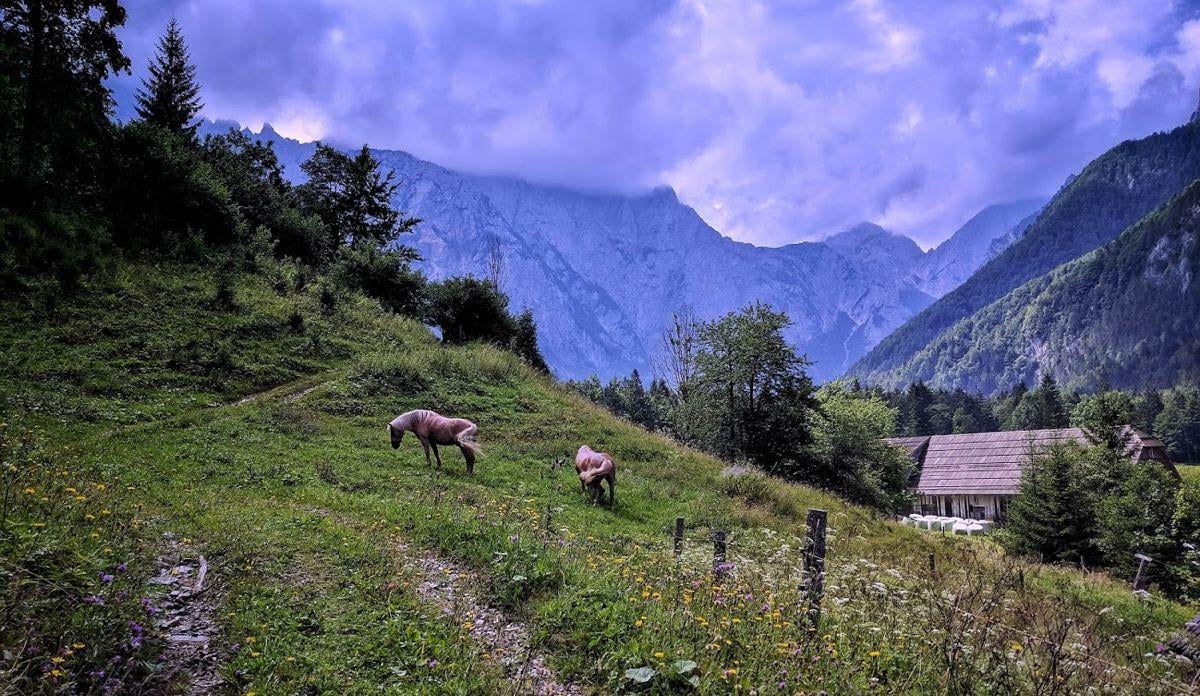 Valle alpino esloveno en verano, con prados verdes, bosque de coníferas y nubes de tormenta formándose sobre las cumbres.