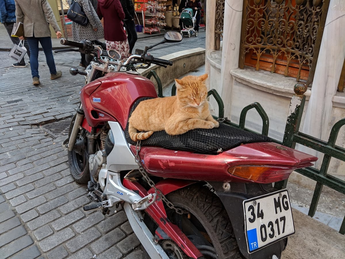 Gran Bazar de Estambul con puestos y visitantes