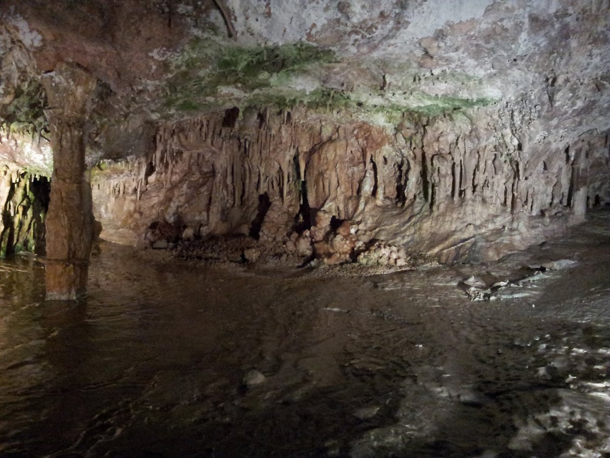 Formaciones calcáreas iluminadas en el interior de la Cova de Can Marçà