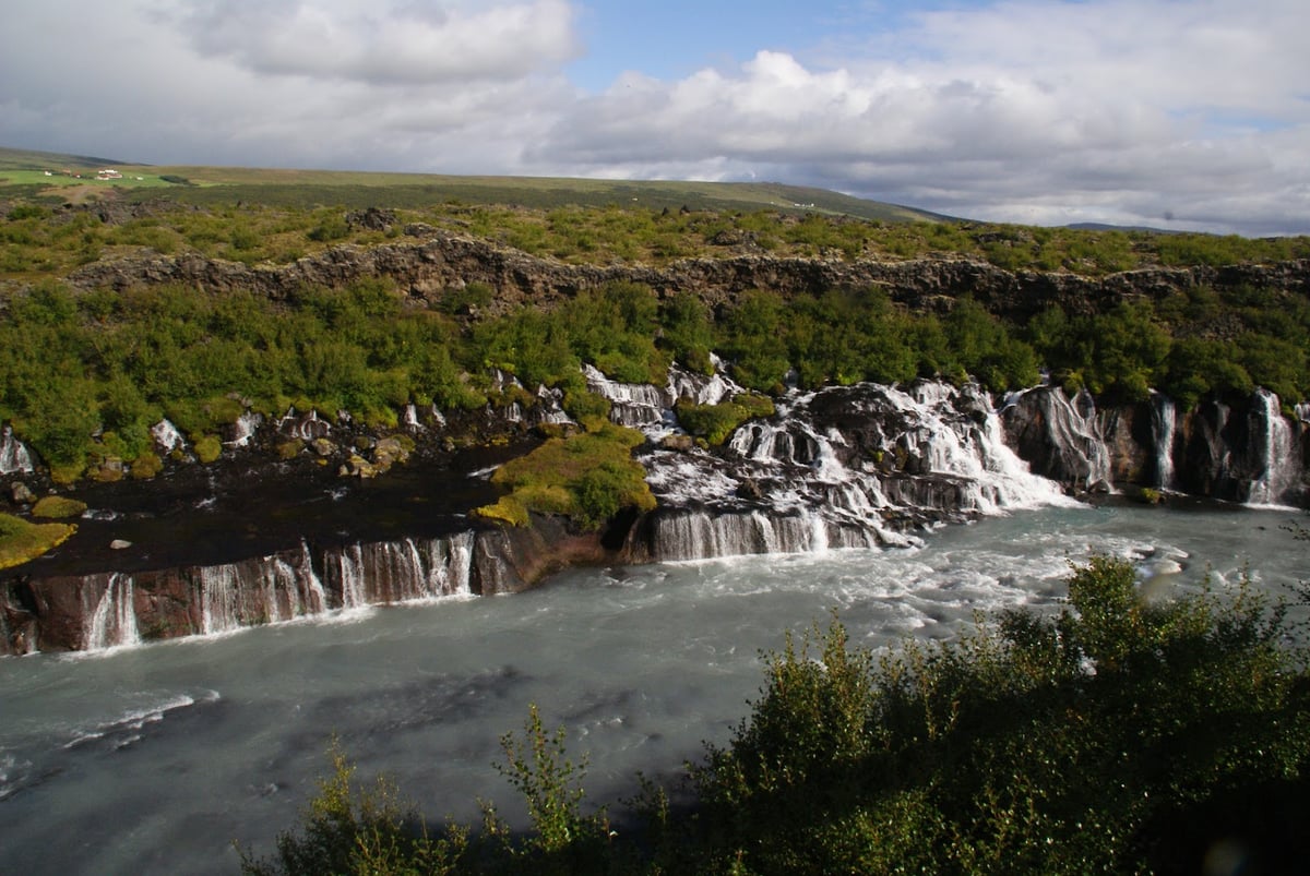 Hraunfossar, cientos de hilos de agua brotando lateralmente de un campo de lava y cayendo directamente al río Hvítá.