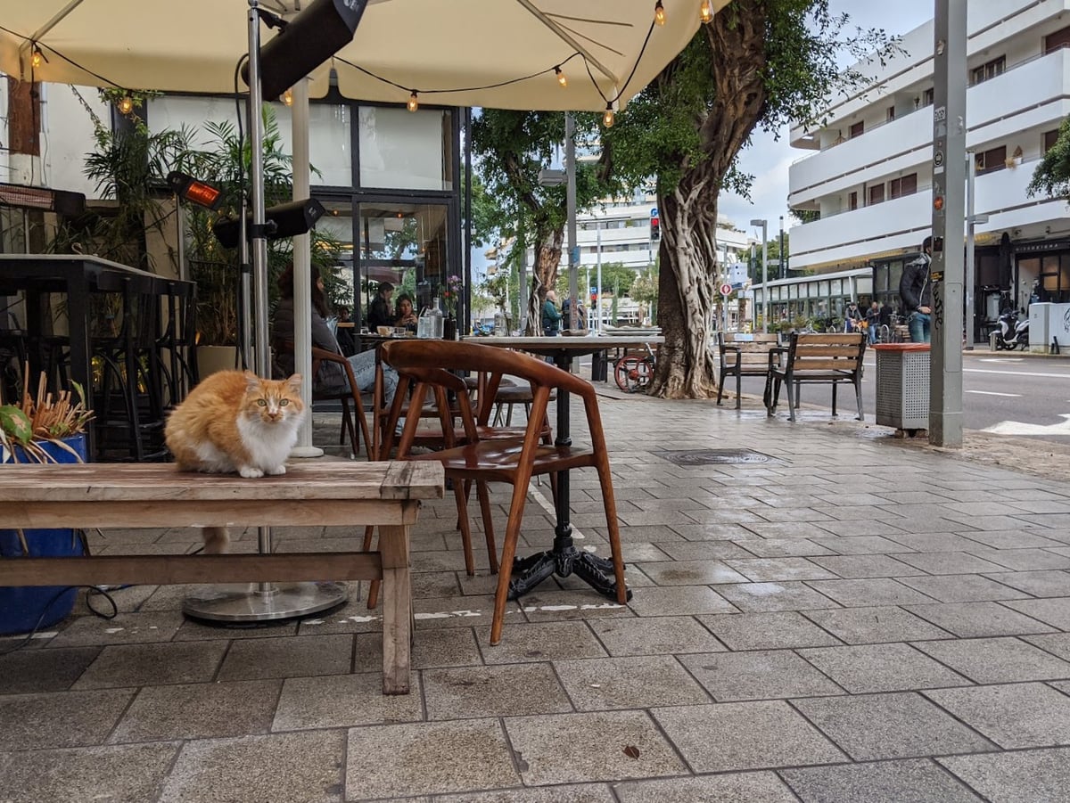 Calle, monumento, paisaje o lugar histórico de Israel.