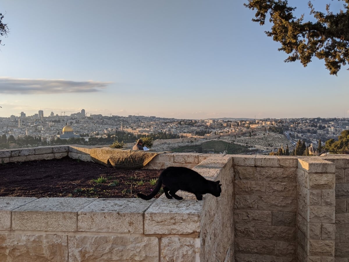 Calle, monumento, paisaje o lugar histórico de Israel