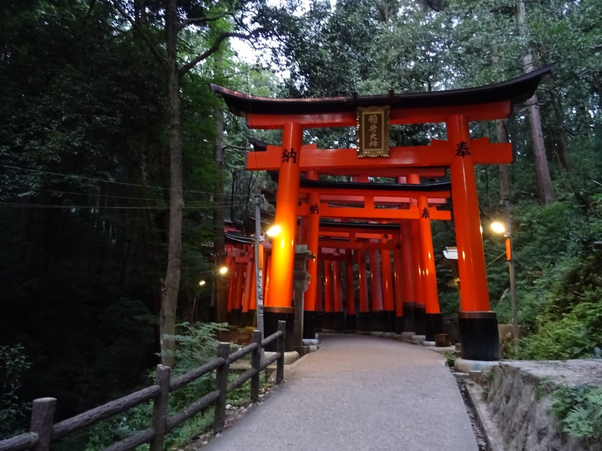 El camino de toriis del santuario Fushimi Inari de Kioto al anochecer, con los pórticos de madera laca naranja alineados uno tras otro formando un túnel que se pierde entre el bosque.