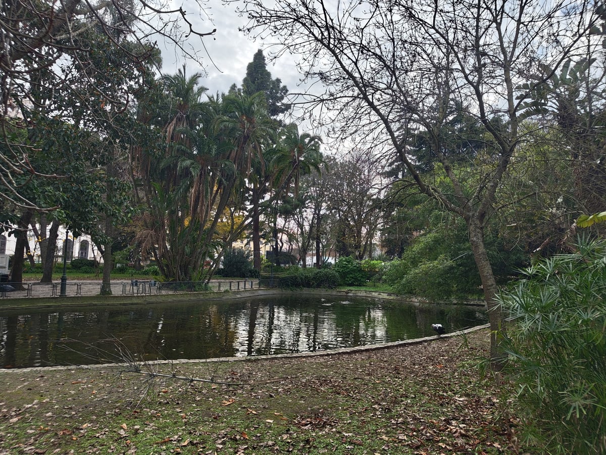 El Jardim da Estrela, en el barrio residencial y tranquilo donde nos alojamos en nuestra última visita a Lisboa, lejos del circuito turístico.