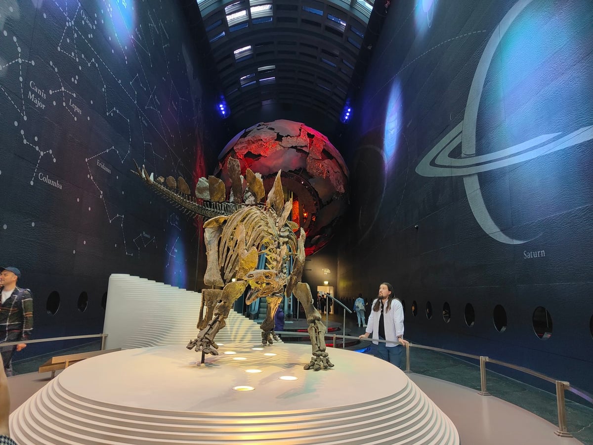 El hall central del Museo de Historia Natural de Londres, con la ballena azul colgando del techo, de entrada gratuita
