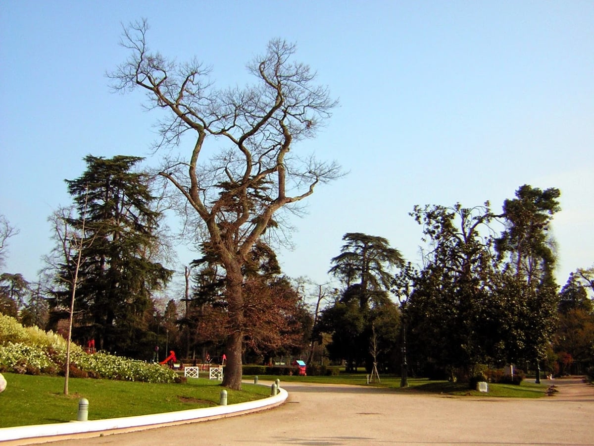 Santuario, monumento o paisaje urbano de Lourdes