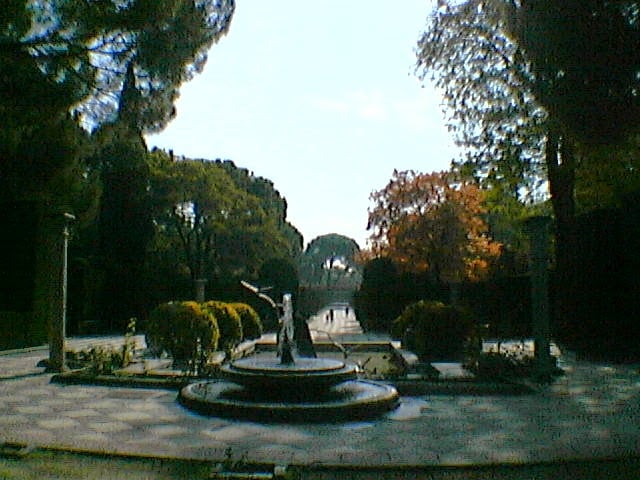 Una fuente rodeada de árboles en un parque.