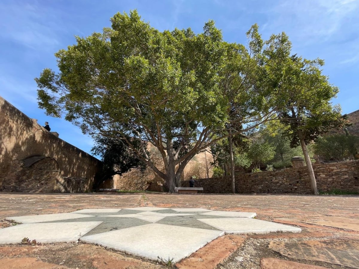 Calle, edificio, monumento o paisaje urbano de Málaga