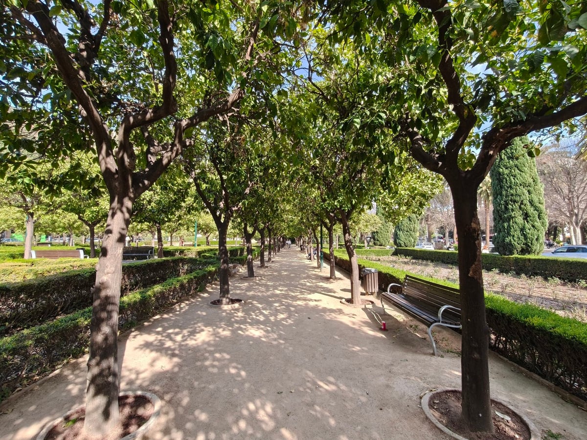 Calle, edificio, monumento o paisaje urbano de Málaga