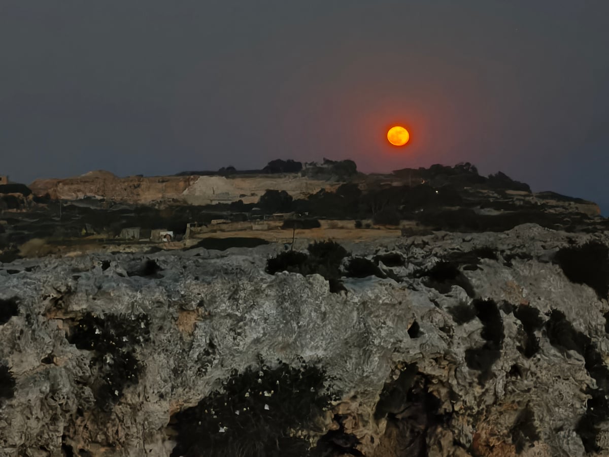 Paisaje, calle, edificio, monumento o escena de Malta