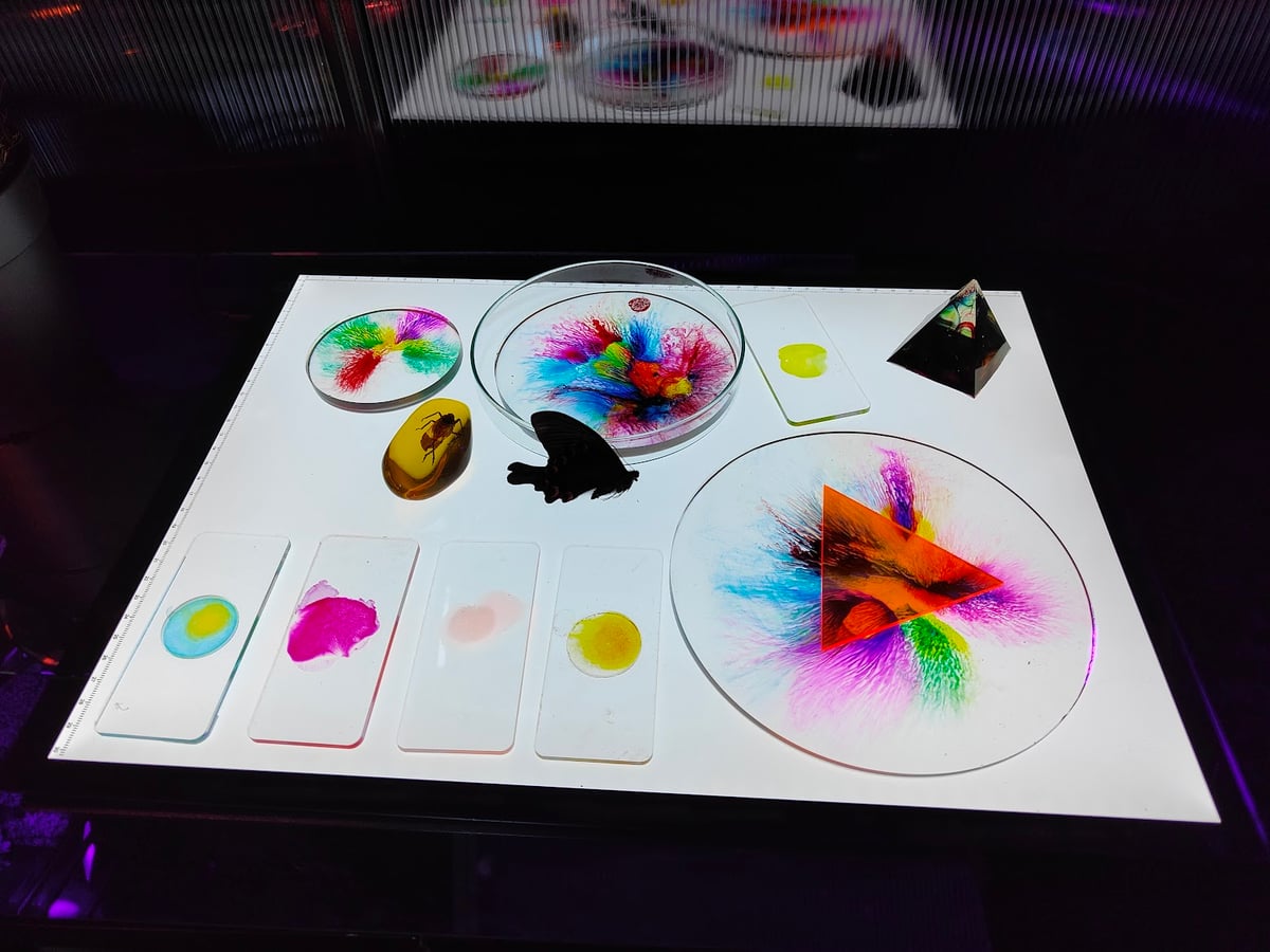Vitrina iluminada desde abajo con placas de laboratorio y portaobjetos que contienen manchas de tinta de colores explotando en filamentos, junto a una mariposa negra y un insecto atrapado en resina ámbar.