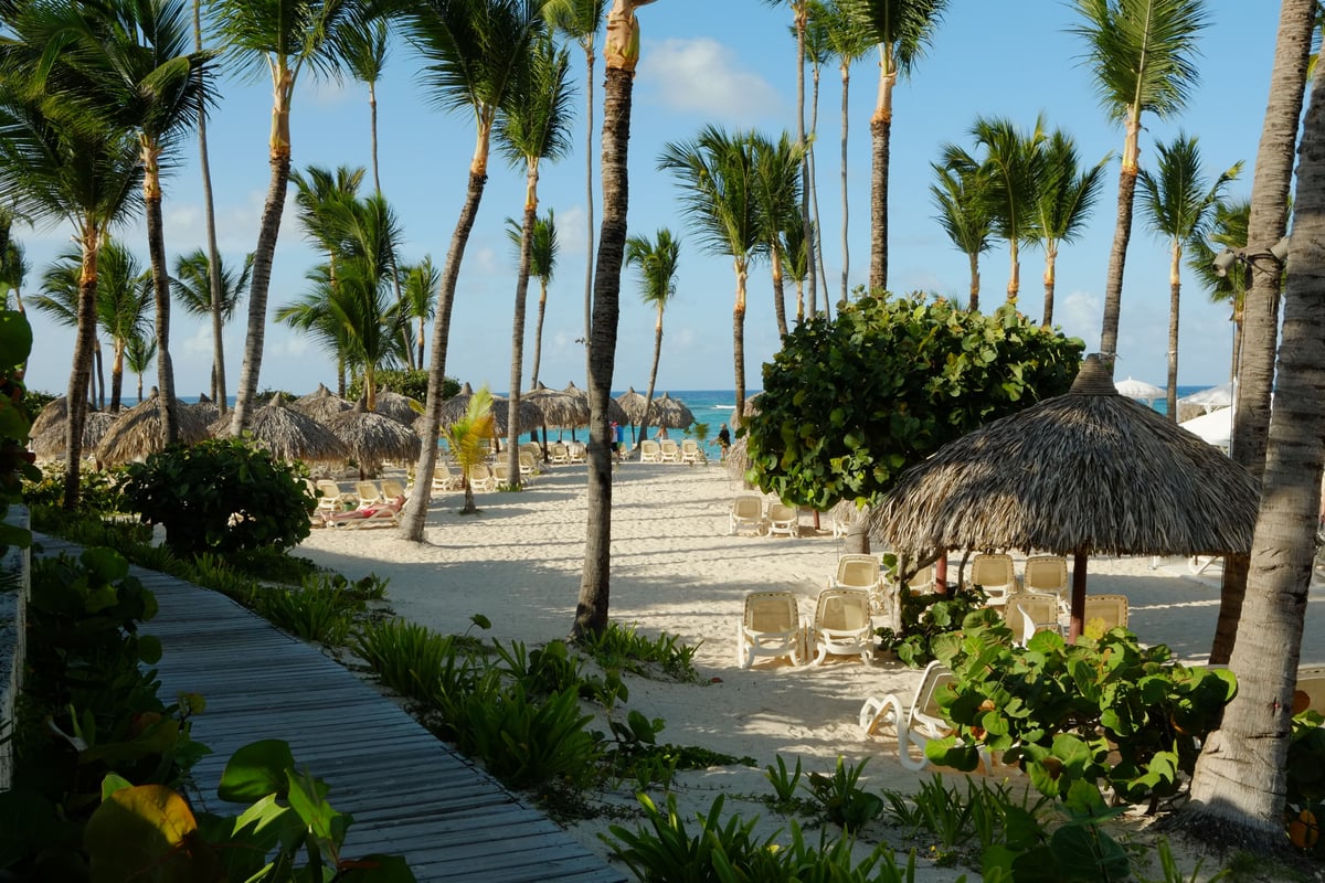 Escena tropical relajante en la playa de Punta Cana, con palmeras y océano de azul claro.