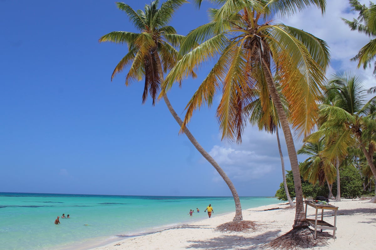 Escena playera tranquila con palmeras y aguas turquesas en La Altagracia, República Dominicana.