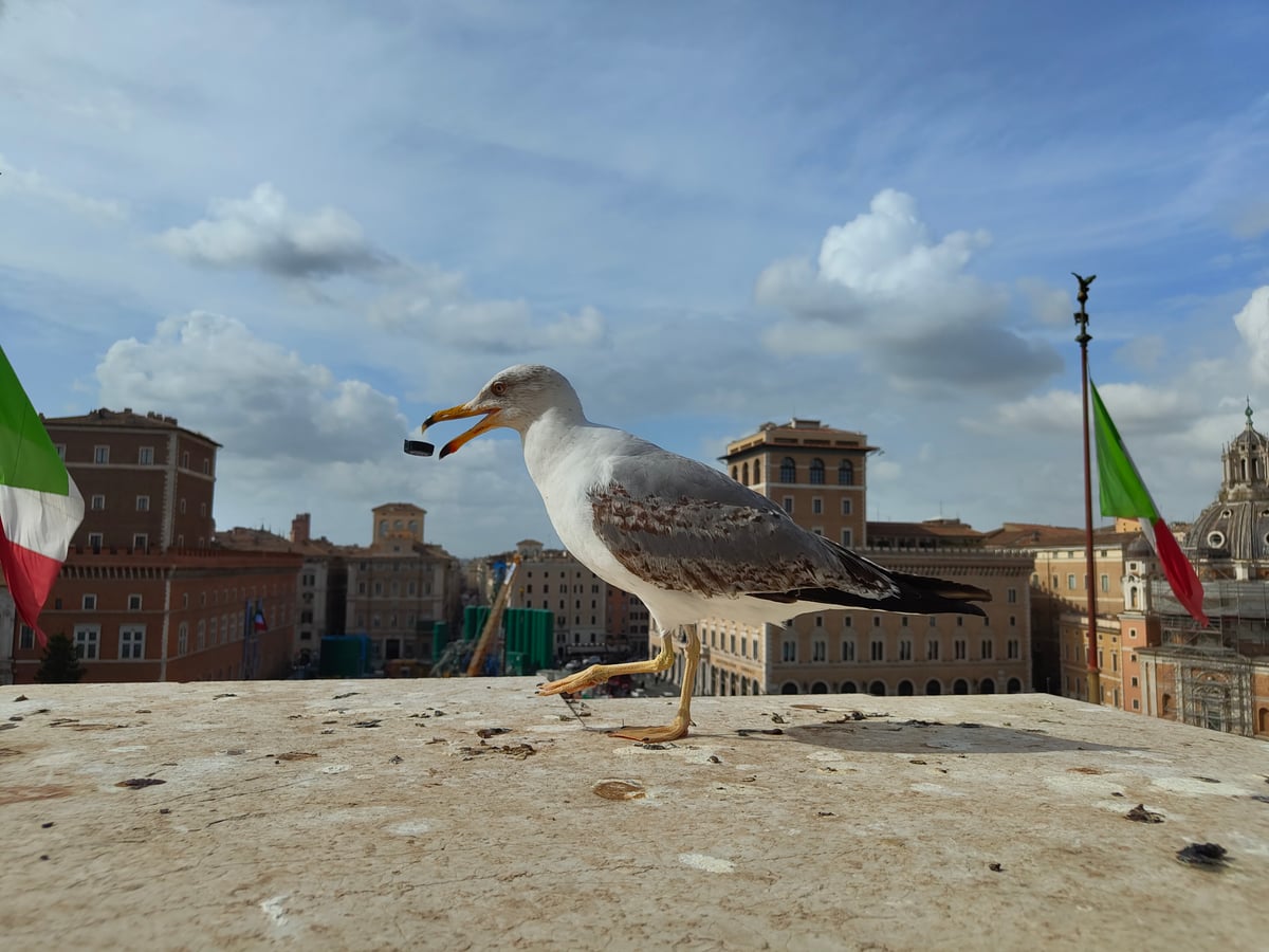 Monumentos y plazas del centro histórico de Roma
